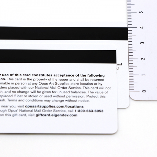 Blank Printing Business Magnetic Stripe Gift Card Custom