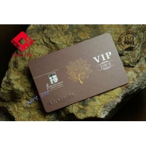 CMYK Offset printing Plastic VIP Discount Rewards Loyalty Members Card with free sample