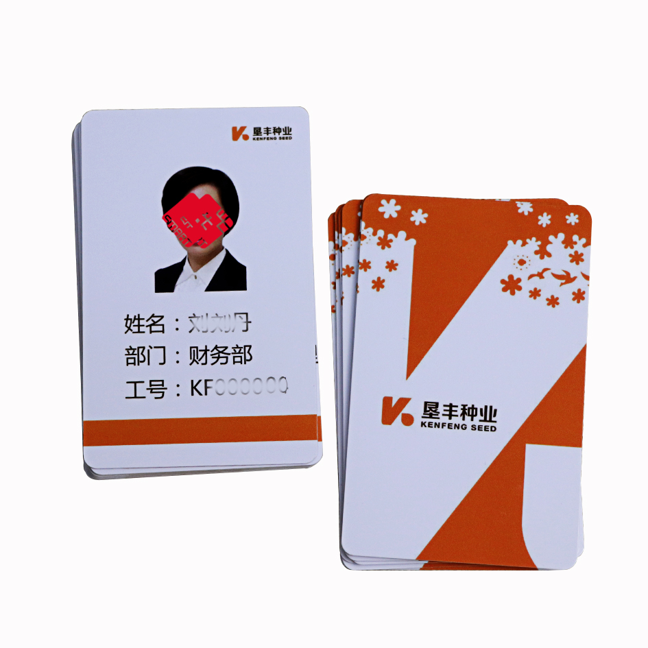 Custom Digitally Printing Plastic PVC Company Photo Staff ID Card