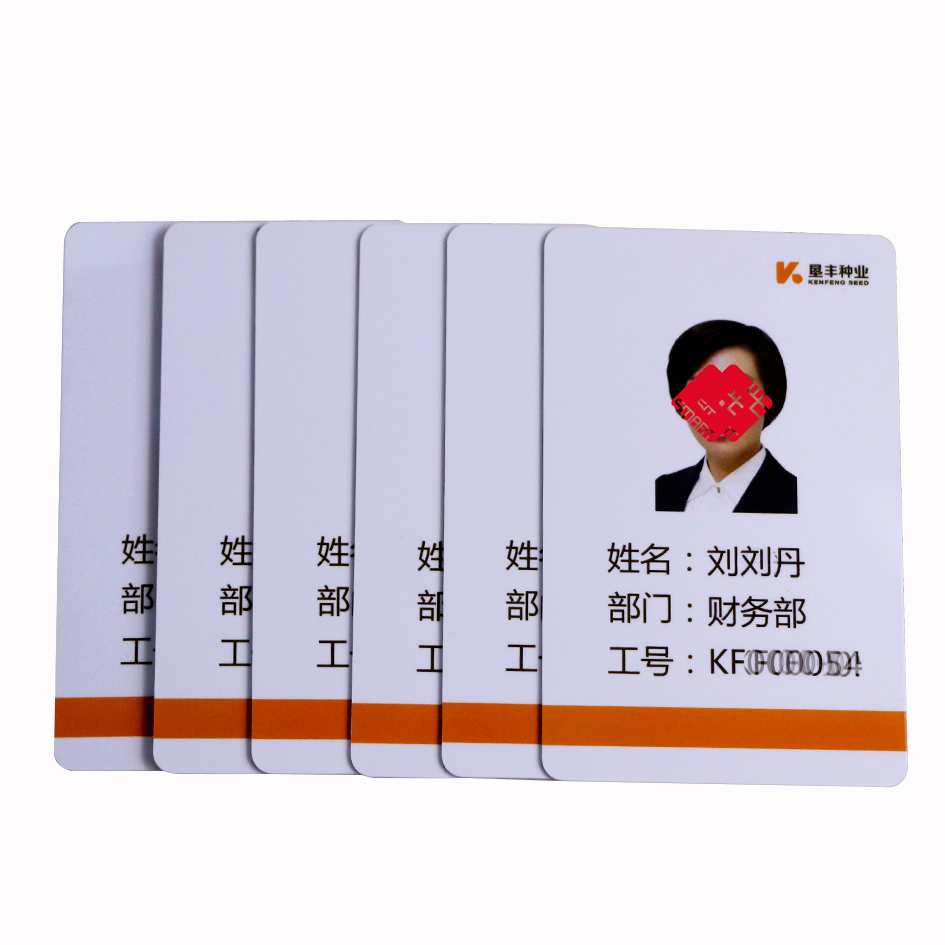 Custom Made ID Card Staff Membership Printed on PVC Plastic Cards Free Design 