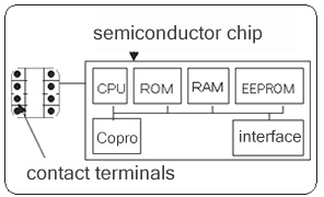 the composition of contact ic card