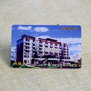 Custom printed Plastic PVC contactless smart chip campus card