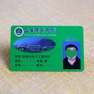 Custom Design Printing PVC Student ID Card