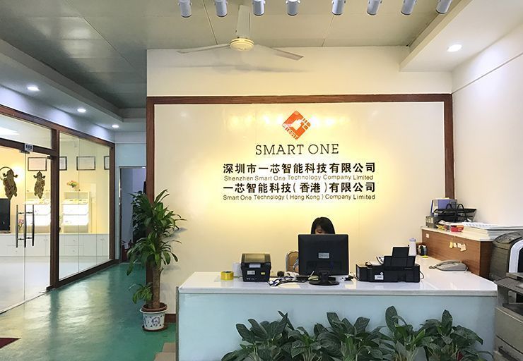 Smart One Technology (Hong Kong) Company