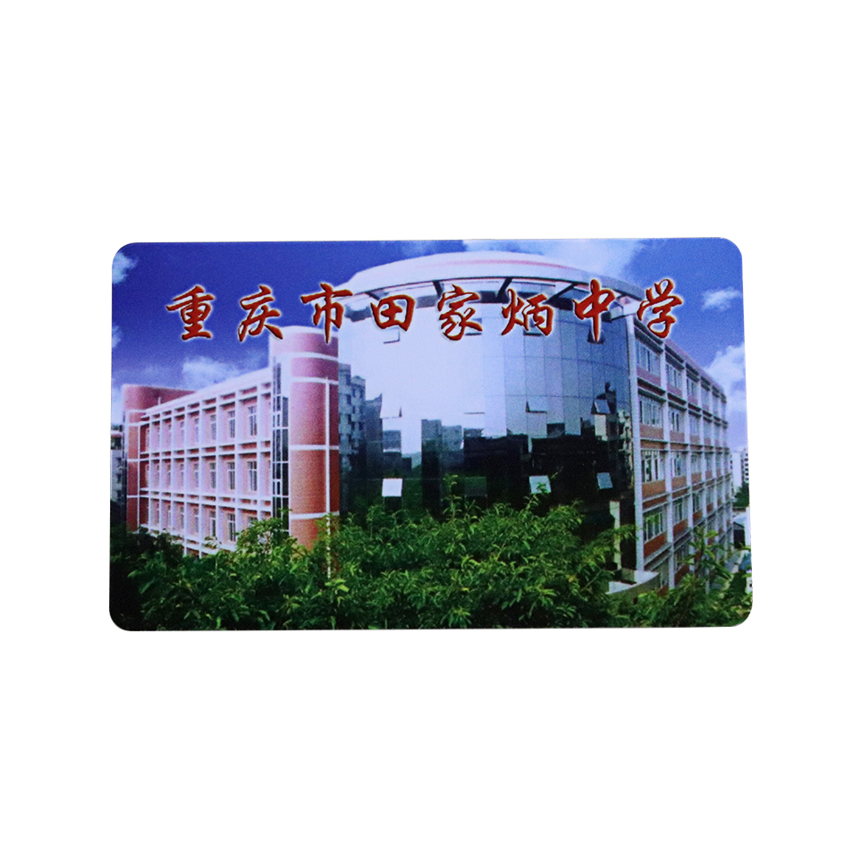 Student Campus Card With Signature Panel