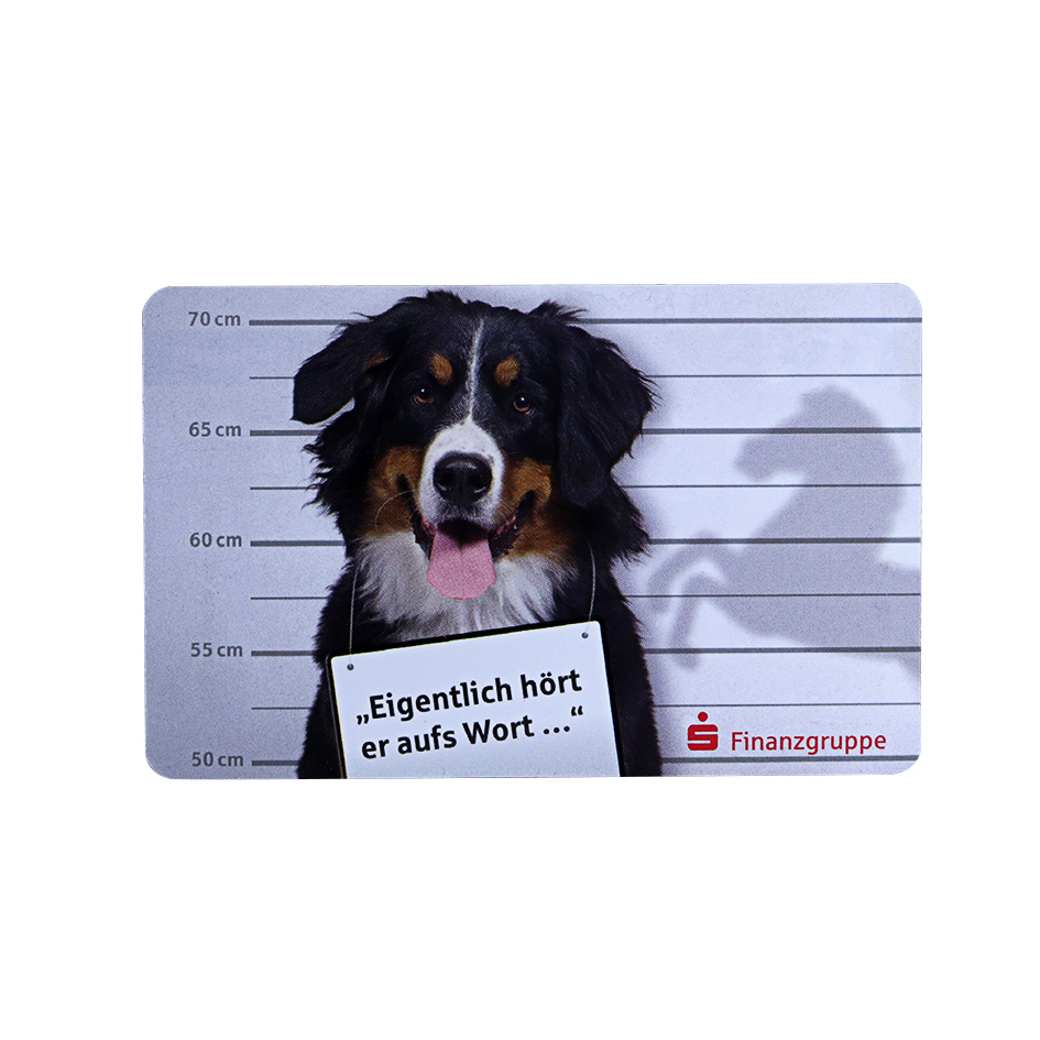 0.25mm Thickness PT Dog Photo Pet Store ID CardCard